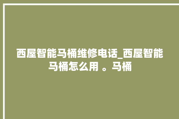 西屋智能马桶维修电话_西屋智能马桶怎么用 。马桶