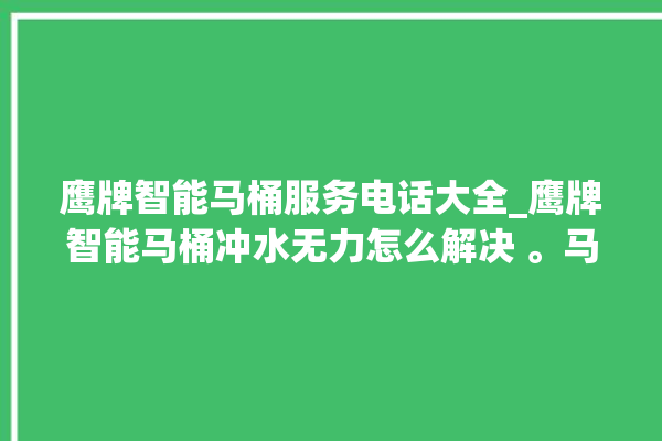 鹰牌智能马桶服务电话大全_鹰牌智能马桶冲水无力怎么解决 。马桶