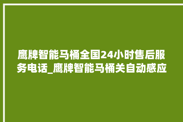 鹰牌智能马桶全国24小时售后服务电话_鹰牌智能马桶关自动感应 。马桶