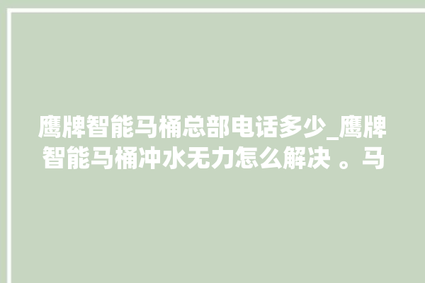 鹰牌智能马桶总部电话多少_鹰牌智能马桶冲水无力怎么解决 。马桶