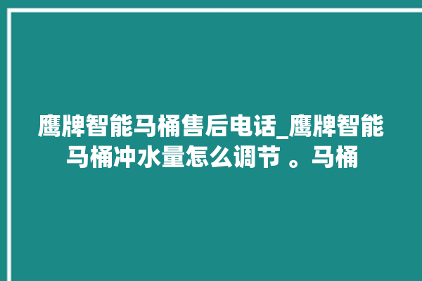 鹰牌智能马桶售后电话_鹰牌智能马桶冲水量怎么调节 。马桶