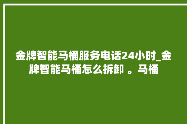 金牌智能马桶服务电话24小时_金牌智能马桶怎么拆卸 。马桶