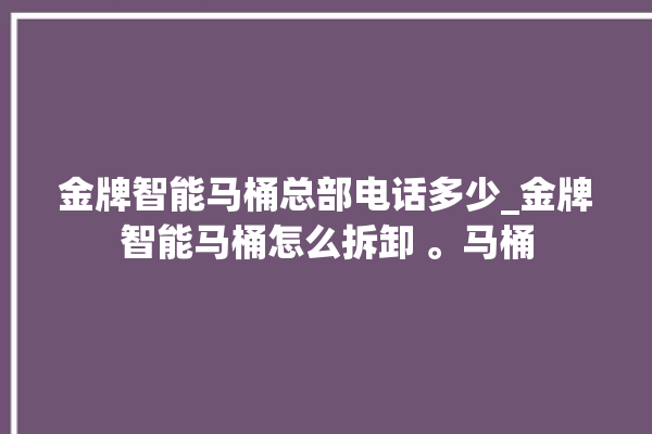 金牌智能马桶总部电话多少_金牌智能马桶怎么拆卸 。马桶