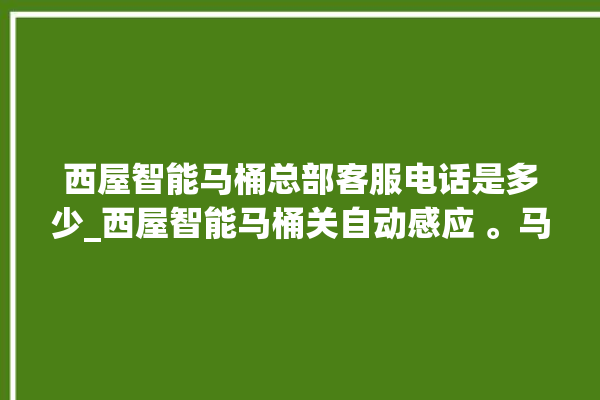 西屋智能马桶总部客服电话是多少_西屋智能马桶关自动感应 。马桶