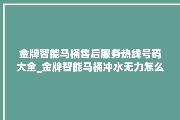 金牌智能马桶售后服务热线号码大全_金牌智能马桶冲水无力怎么解决 。马桶