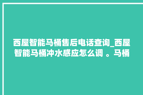 西屋智能马桶售后电话查询_西屋智能马桶冲水感应怎么调 。马桶