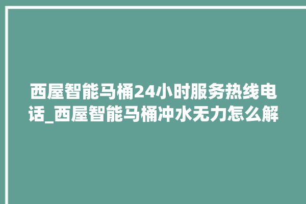 西屋智能马桶24小时服务热线电话_西屋智能马桶冲水无力怎么解决 。马桶