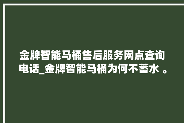 金牌智能马桶售后服务网点查询电话_金牌智能马桶为何不蓄水 。马桶