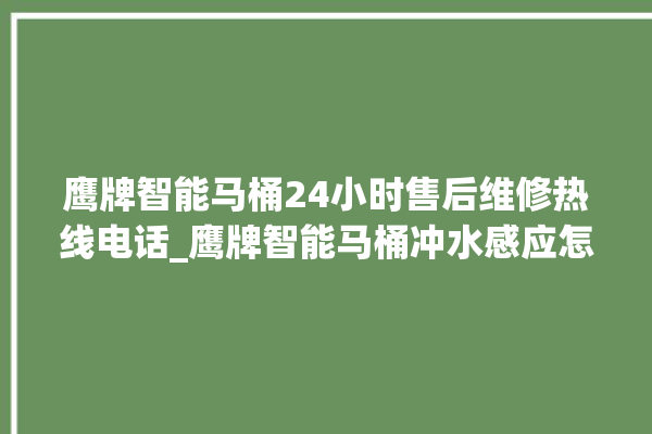 鹰牌智能马桶24小时售后维修热线电话_鹰牌智能马桶冲水感应怎么调 。马桶