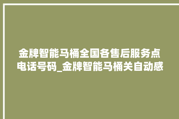 金牌智能马桶全国各售后服务点电话号码_金牌智能马桶关自动感应 。马桶