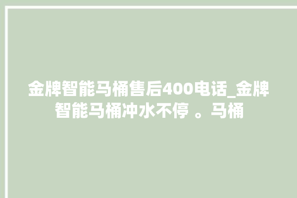 金牌智能马桶售后400电话_金牌智能马桶冲水不停 。马桶