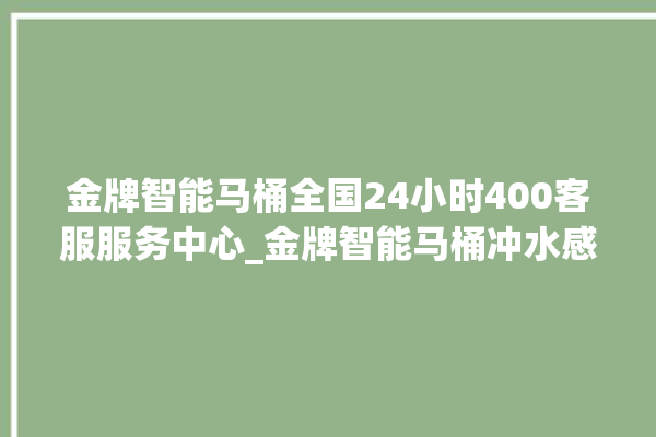 金牌智能马桶全国24小时400客服服务中心_金牌智能马桶冲水感应怎么调 。马桶