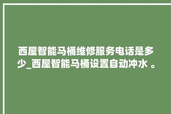 西屋智能马桶维修服务电话是多少_西屋智能马桶设置自动冲水 。马桶