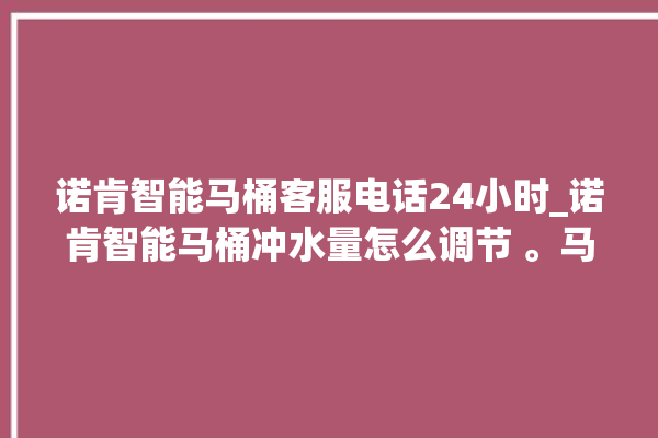 诺肯智能马桶客服电话24小时_诺肯智能马桶冲水量怎么调节 。马桶