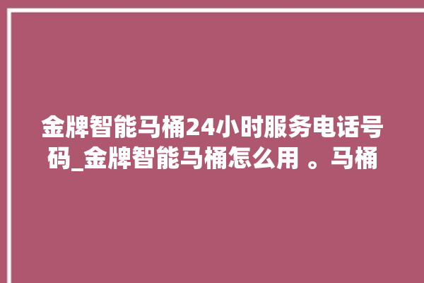 金牌智能马桶24小时服务电话号码_金牌智能马桶怎么用 。马桶