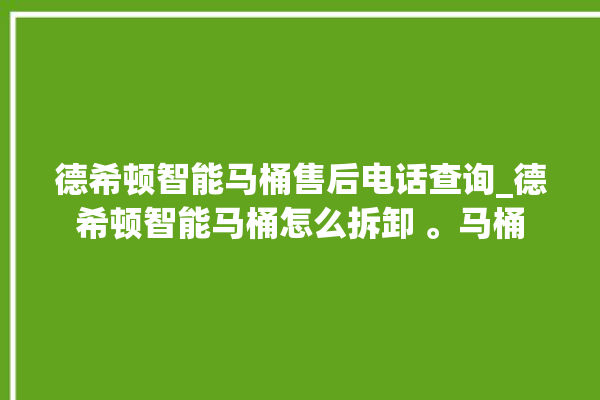 德希顿智能马桶售后电话查询_德希顿智能马桶怎么拆卸 。马桶