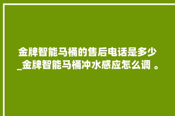 金牌智能马桶的售后电话是多少_金牌智能马桶冲水感应怎么调 。马桶