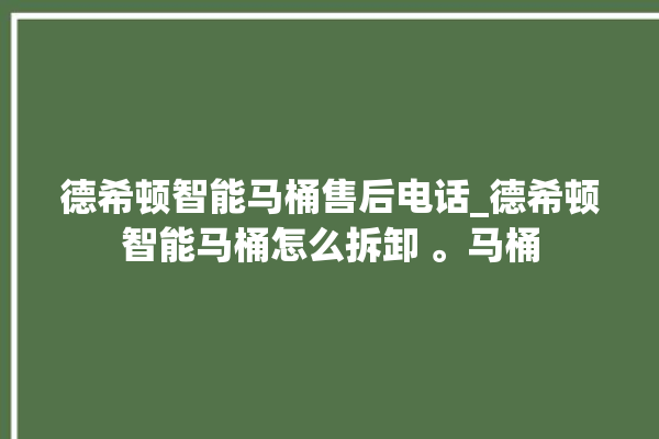 德希顿智能马桶售后电话_德希顿智能马桶怎么拆卸 。马桶