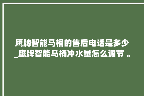 鹰牌智能马桶的售后电话是多少_鹰牌智能马桶冲水量怎么调节 。马桶