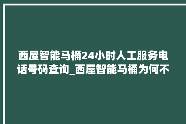 西屋智能马桶24小时人工服务电话号码查询_西屋智能马桶为何不蓄水 。马桶