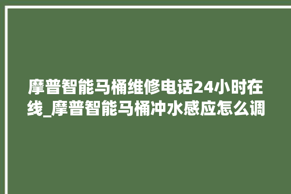 摩普智能马桶维修电话24小时在线_摩普智能马桶冲水感应怎么调 。马桶