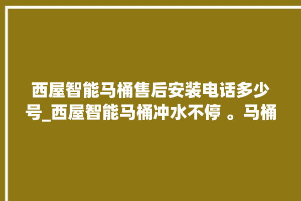 西屋智能马桶售后安装电话多少号_西屋智能马桶冲水不停 。马桶