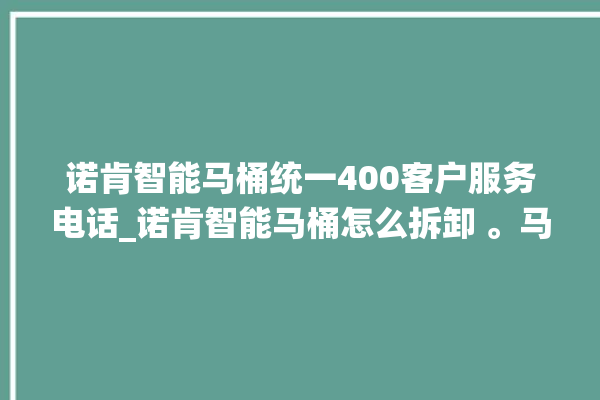 诺肯智能马桶统一400客户服务电话_诺肯智能马桶怎么拆卸 。马桶