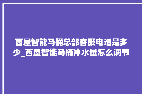 西屋智能马桶总部客服电话是多少_西屋智能马桶冲水量怎么调节 。马桶