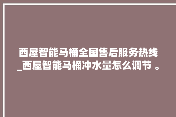 西屋智能马桶全国售后服务热线_西屋智能马桶冲水量怎么调节 。马桶