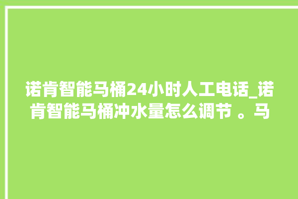 诺肯智能马桶24小时人工电话_诺肯智能马桶冲水量怎么调节 。马桶