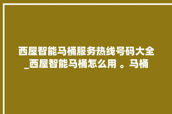 西屋智能马桶服务热线号码大全_西屋智能马桶怎么用 。马桶