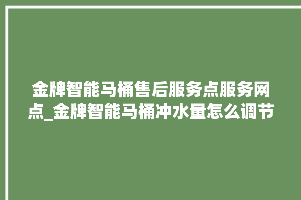 金牌智能马桶售后服务点服务网点_金牌智能马桶冲水量怎么调节 。马桶