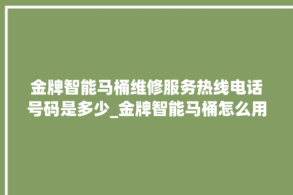 金牌智能马桶维修服务热线电话号码是多少_金牌智能马桶怎么用 。马桶