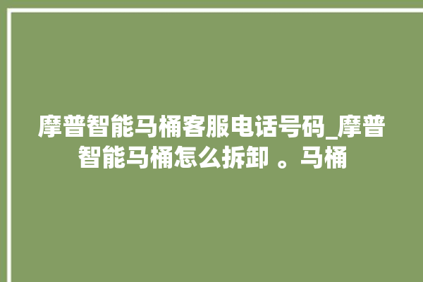 摩普智能马桶客服电话号码_摩普智能马桶怎么拆卸 。马桶