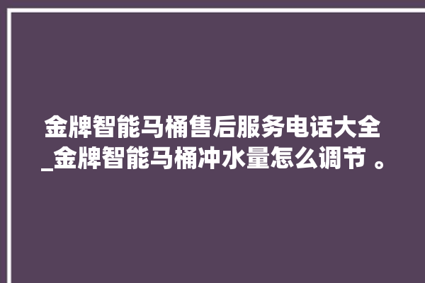 金牌智能马桶售后服务电话大全_金牌智能马桶冲水量怎么调节 。马桶