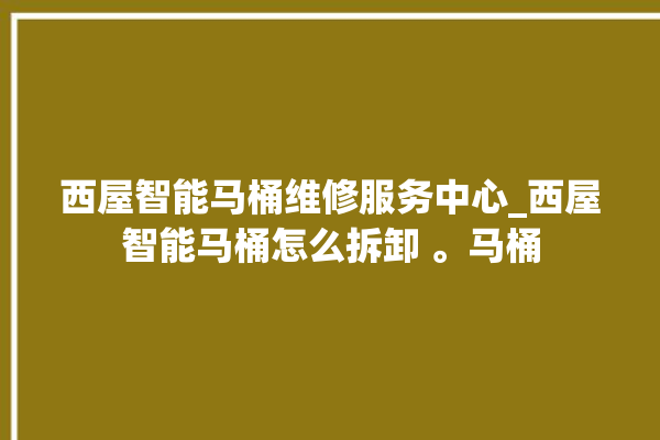 西屋智能马桶维修服务中心_西屋智能马桶怎么拆卸 。马桶