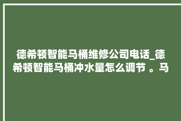 德希顿智能马桶维修公司电话_德希顿智能马桶冲水量怎么调节 。马桶