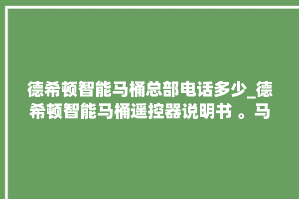 德希顿智能马桶总部电话多少_德希顿智能马桶遥控器说明书 。马桶