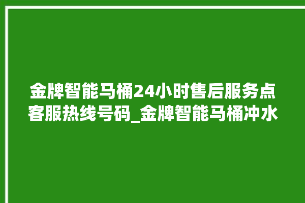 金牌智能马桶24小时售后服务点客服热线号码_金牌智能马桶冲水不停 。马桶