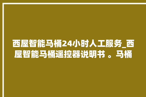 西屋智能马桶24小时人工服务_西屋智能马桶遥控器说明书 。马桶