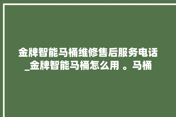 金牌智能马桶维修售后服务电话_金牌智能马桶怎么用 。马桶