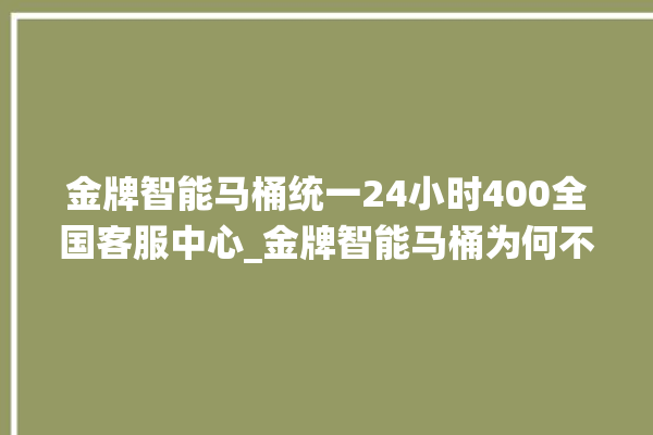 金牌智能马桶统一24小时400全国客服中心_金牌智能马桶为何不蓄水 。马桶