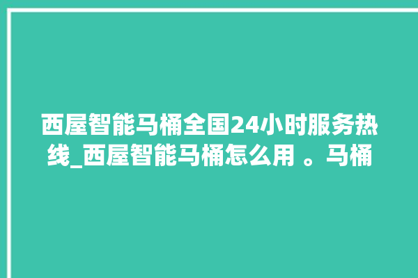 西屋智能马桶全国24小时服务热线_西屋智能马桶怎么用 。马桶