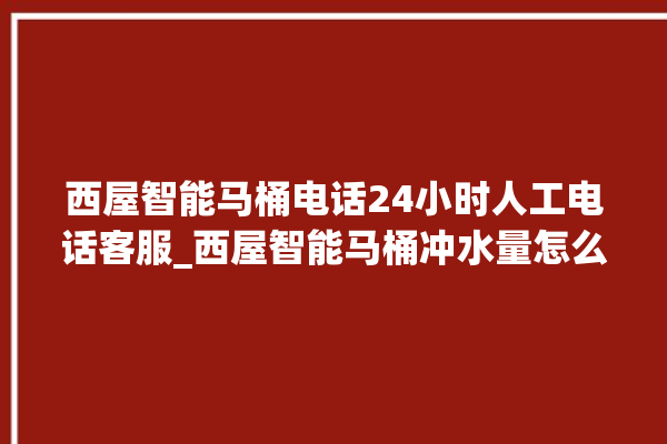 西屋智能马桶电话24小时人工电话客服_西屋智能马桶冲水量怎么调节 。马桶