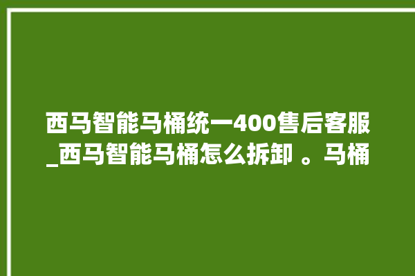 西马智能马桶统一400售后客服_西马智能马桶怎么拆卸 。马桶