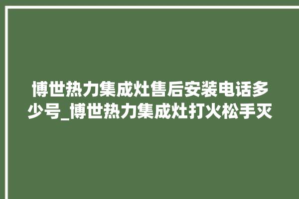 博世热力集成灶售后安装电话多少号_博世热力集成灶打火松手灭 。热力