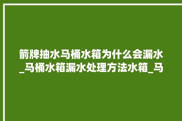 箭牌抽水马桶水箱为什么会漏水_马桶水箱漏水处理方法水箱_马桶