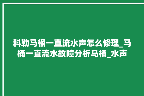 科勒马桶一直流水声怎么修理_马桶一直流水故障分析马桶_水声