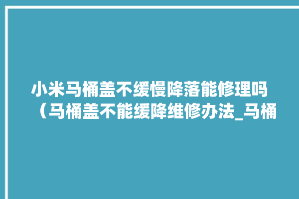 小米马桶盖不缓慢降落能修理吗（马桶盖不能缓降维修办法_马桶盖_小米