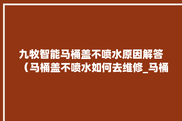 九牧智能马桶盖不喷水原因解答（马桶盖不喷水如何去维修_马桶盖_原因